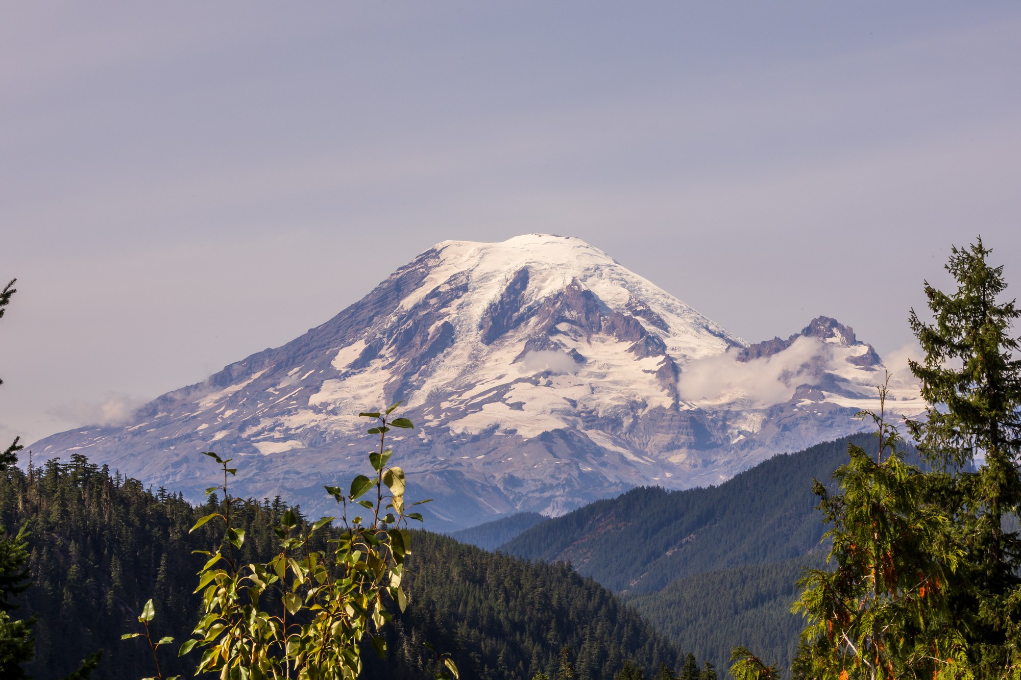 Mountain framed by trees